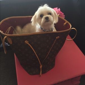 Meet your Posher, Kathy